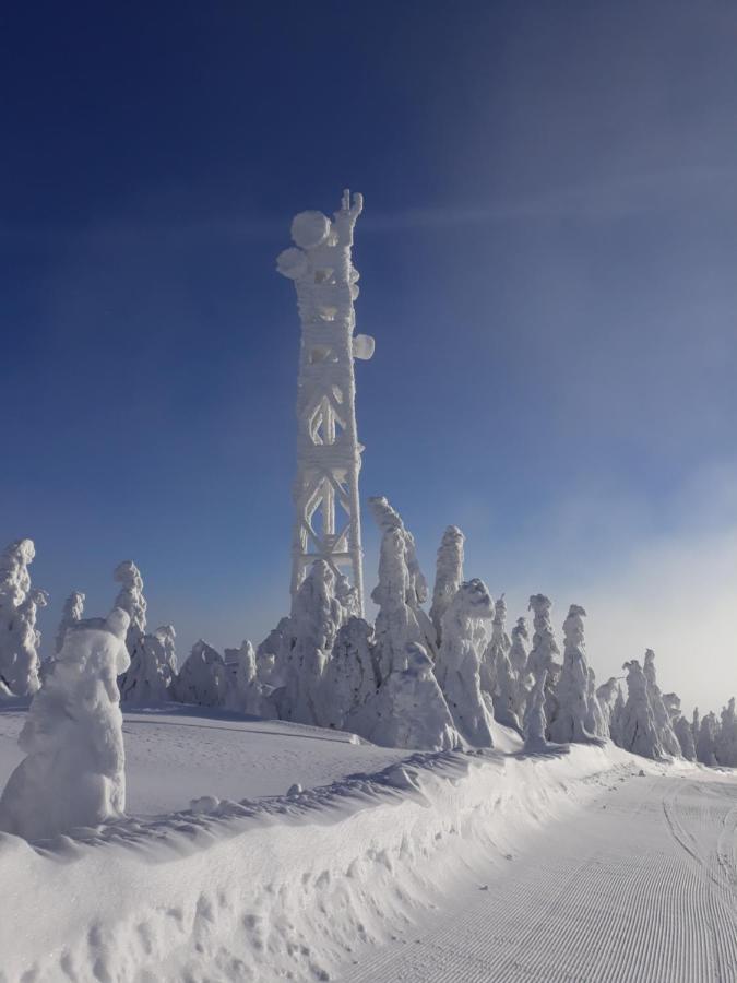 Chata Stred Kubinska Hola Dolny Kubin Buitenkant foto