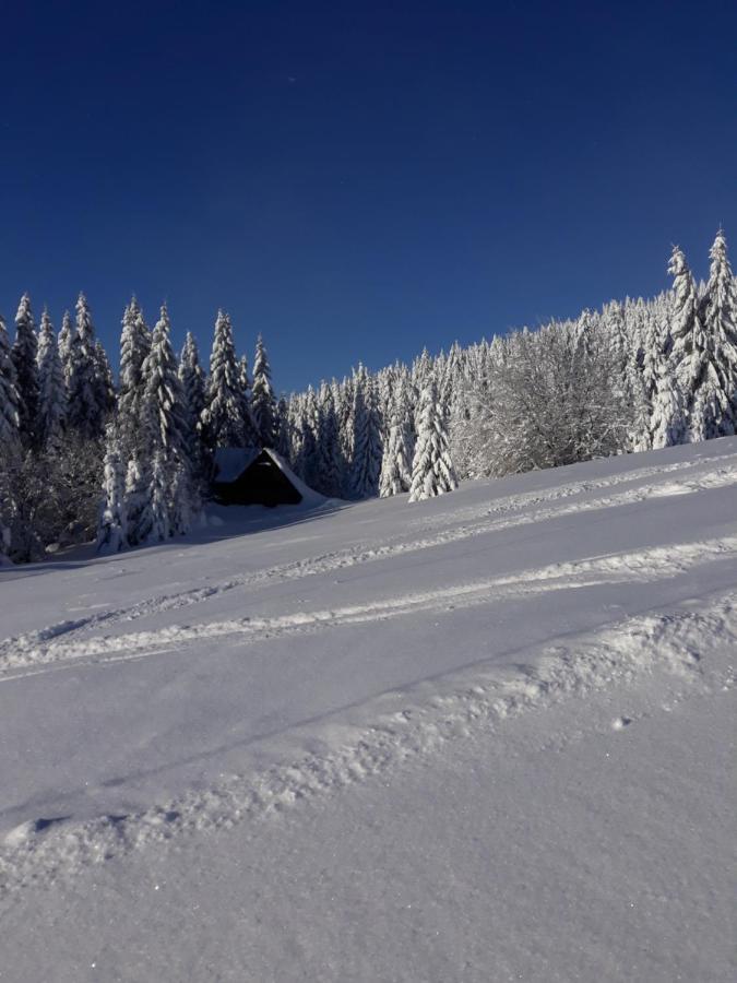 Chata Stred Kubinska Hola Dolny Kubin Buitenkant foto