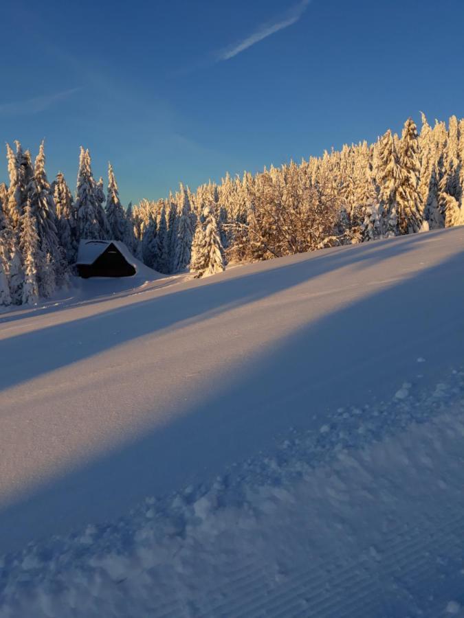 Chata Stred Kubinska Hola Dolny Kubin Buitenkant foto