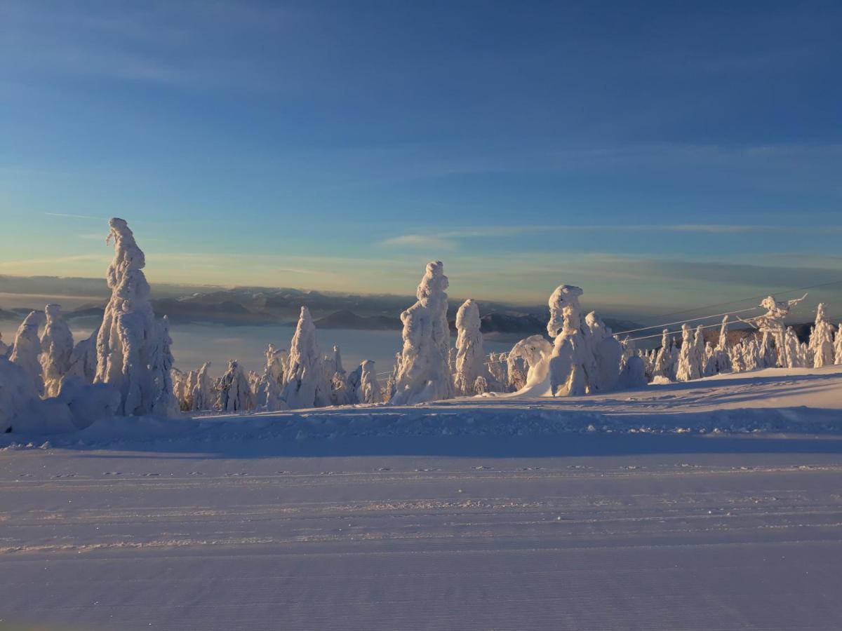 Chata Stred Kubinska Hola Dolny Kubin Buitenkant foto