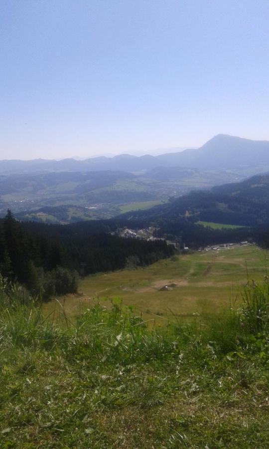 Chata Stred Kubinska Hola Dolny Kubin Buitenkant foto